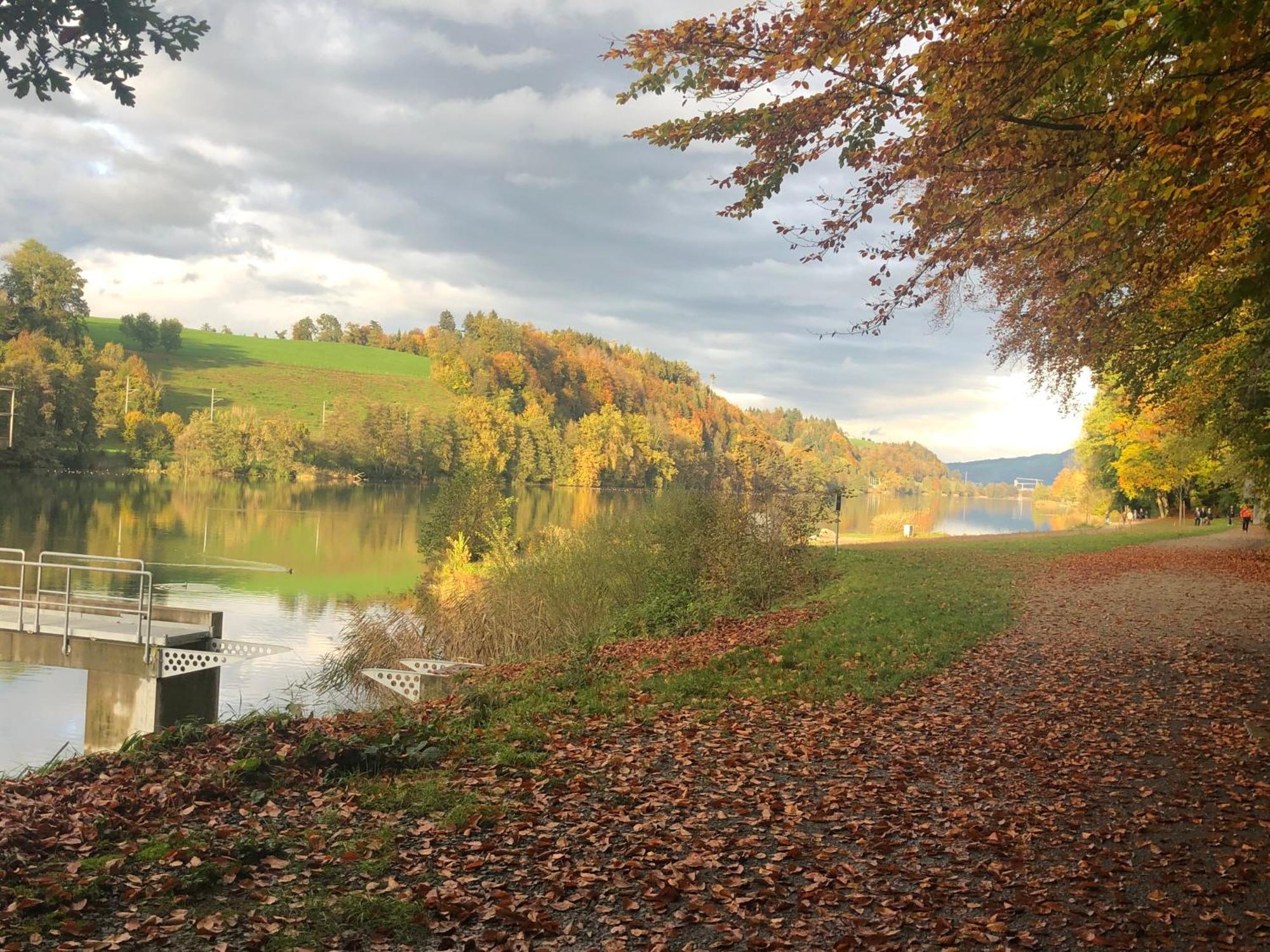 Charming Studio Near Rotsee Lucerne Kitchen/Wifi/Wasching Machine Extérieur photo